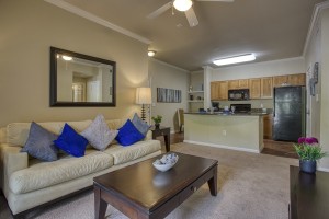 Two Bedroom Apartments for Rent in San Antonio, TX - Model Living Room & Kitchen 